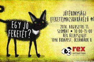 Egy jó feketével tuti az élet