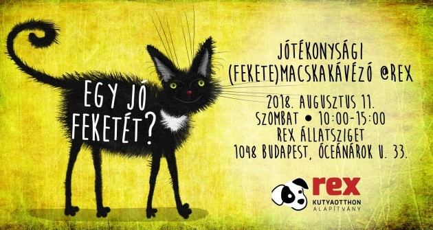 Egy jó feketével tuti az élet