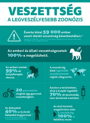 veszettseg_info