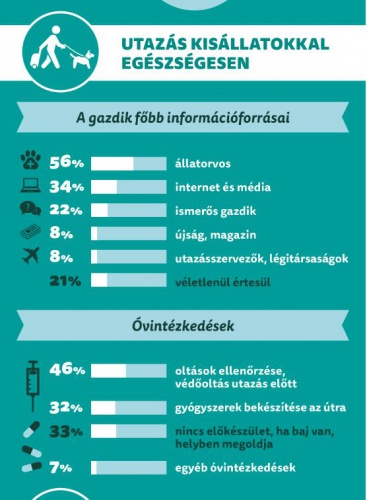 fertozo_betegseg_infografika2