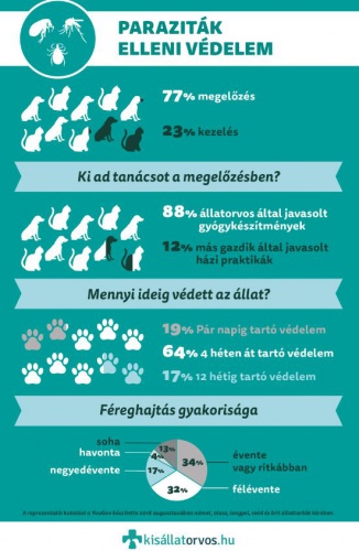 fertozo_betegseg_infografika3