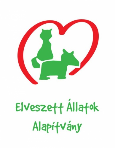 elveszett_alapitvany
