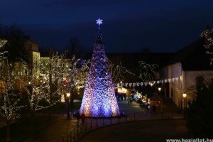Tóth Gabival állatvédő nagykövetként találkozhatunk az óbudai adventi vásáron