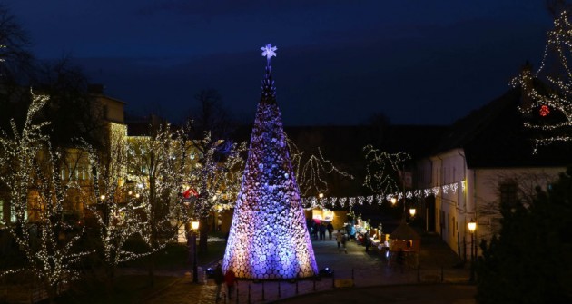 Tóth Gabival állatvédő nagykövetként találkozhatunk az óbudai adventi vásáron
