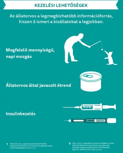 cukorbeteg_kezeles