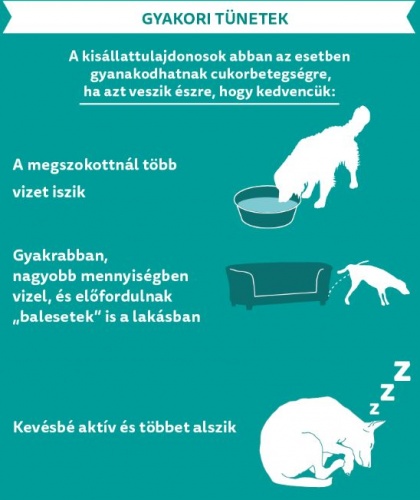 cukorbeteg_tunetek1