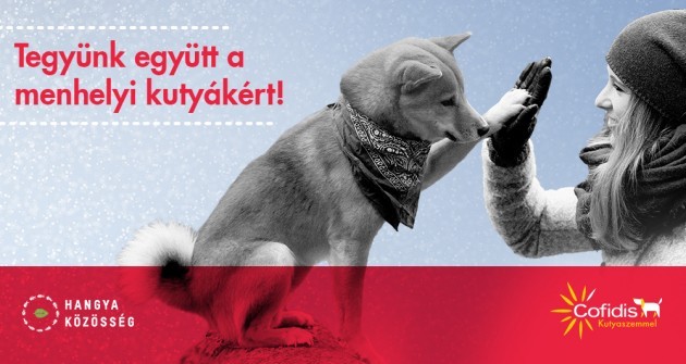 Kutyabarát karácsonyi vásár: Tegyünk együtt a menhelyi kutyákért!