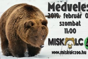 Február első hétvégéjén országszerte időjósló medveles
