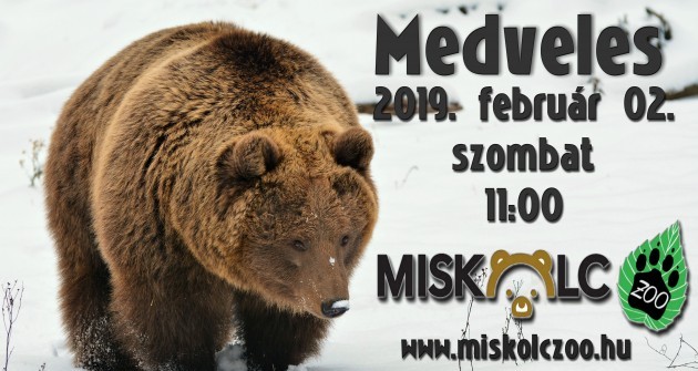 Február első hétvégéjén országszerte időjósló medveles