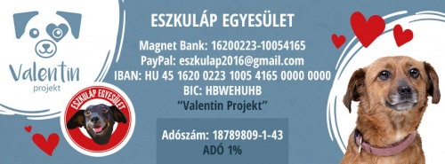 valentin_project