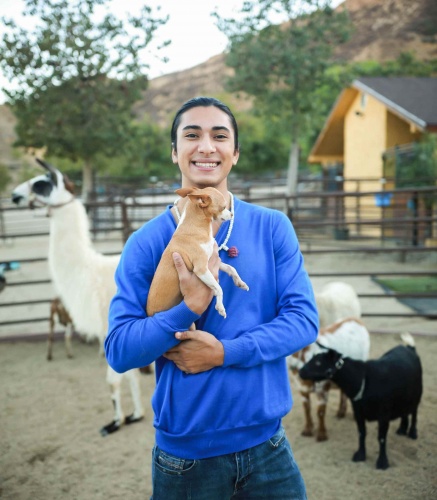 cesarmillan2019_calvin1