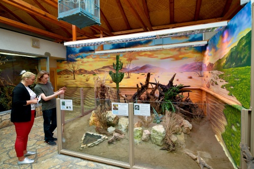 szavanna_terrarium