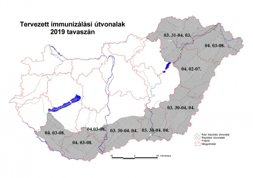 2019_tavaszi_rkavakcinzs_honlapra_trkp