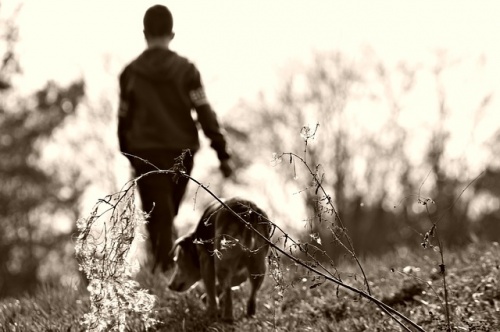 walk-1698449_640
