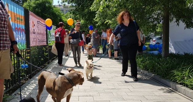 Belvárosi Kutyafesztivál 2019: kutyajósda Bach Szilviával