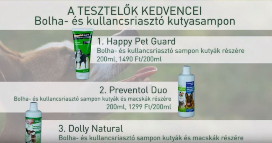 kutyasampon_teszt