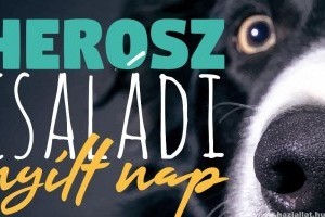 Családi Nyílt Nap a HEROSZ Budapesti Állatotthonban
