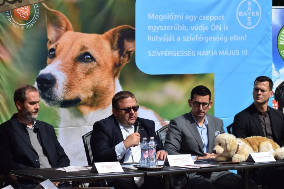 szvfrgessg_napja_1_01