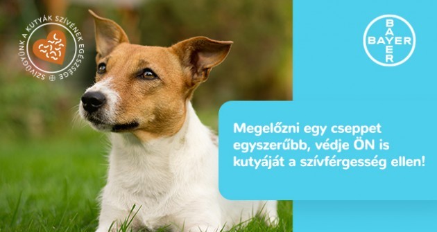 Valóban csak egy szúnyogcsípés?
