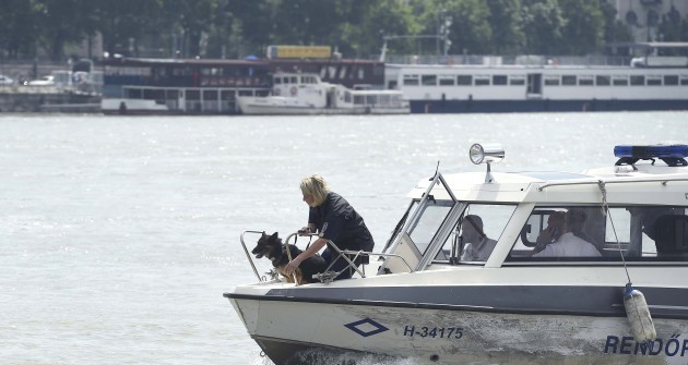 Tetemkereső kutyák is segítenek a dunai hajóbaleset áldozatainak felderítésében