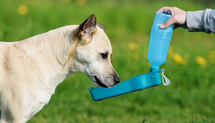 best-product-sell-online-water-bottles