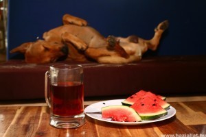 Csináld magad - Hűsítő dinnyés finomság kutyáknak