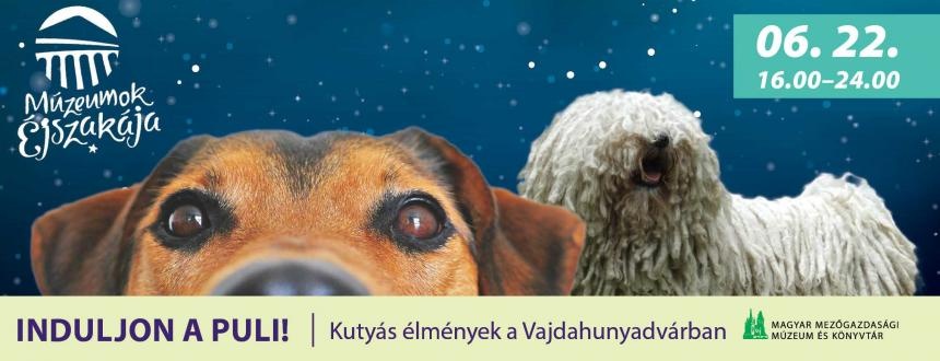kutatok2019