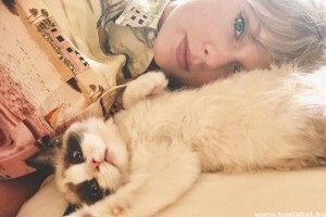 Taylor Swift a skót lógófülű macskáitól merített ihletet
