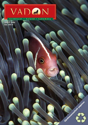 VADON MAGAZIN - 2006. ÁPRILIS