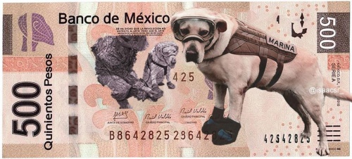 frida_kutya_mexikoi_penz