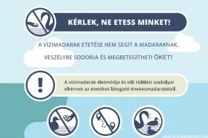 Ne etessük a vízimadarakat!