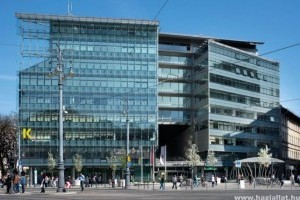 Négylábúak bejárása biztosítva - újabb kutyabarát munkahely és iroda