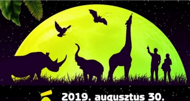 Állatkertek éjszakája 13 helyen ma éjszaka!