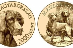 Magyar vizsla-emlékérmét bocsát ki a jegybank