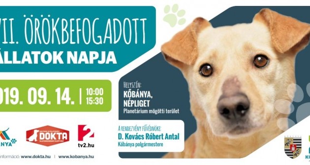 Szuper kutyás programok a VII. Örökbefogadott Állatok Napján