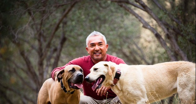 Jelentkezz kedvenceddel Cesar Milan előadására