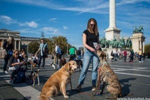 Kutyás critical mass képekben