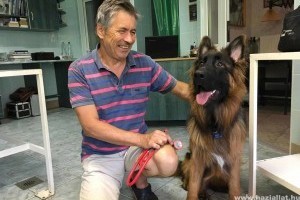 Sok állatot mentett Patakidoki, amelyekről a hagyományos orvoslás már lemondott
