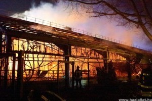 30 állat meghalt, mikor egy eldobott tűzijáték miatt tűz ütött ki az állatkertben