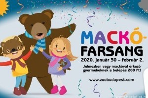 Mackófarsang a fővárosi állatkertben