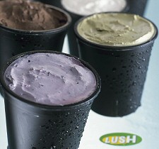 A LUSH KIÁLTVÁNYA: ELÉG AZ ÁLLATKÍSÉRLETEKBŐL