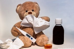 SARS, liszterózis, toxoplasmosis: betegségek, amiket kedvenceinktől kaphatunk el