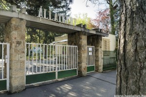 Támogatói belépőjegyek vásárlására ösztönöz a debreceni állatkert