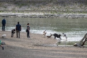 Újra látogathatók a kutyás közösségi helyek