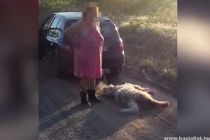 Felháborító - Csak felfüggesztett börtönt kapott a kutyáját az autó mögé kötő asszony