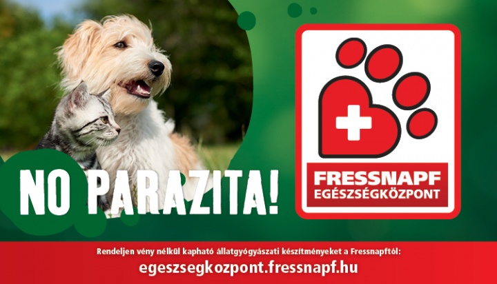 parazita, kullancs, frontline, kutya, macska, védekezés