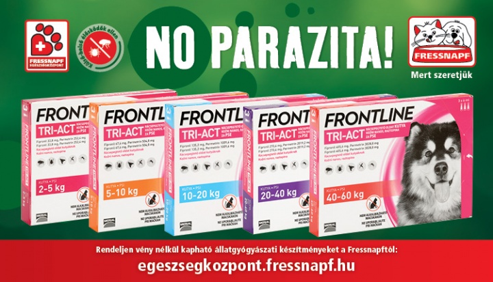 parazita, kullancs, frontline, kutya, macska, védekezés