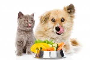 Vitaminok, melyekre a házi kedvencednek is alapvető szüksége van (x)