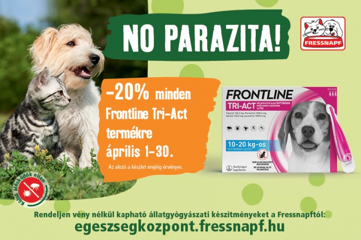 kullancs, bolha, védelem, kutya, macska