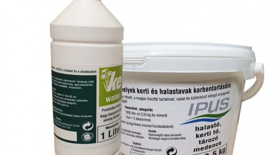 Krizantém: ha ezekre figyelsz, tele lesz virággal